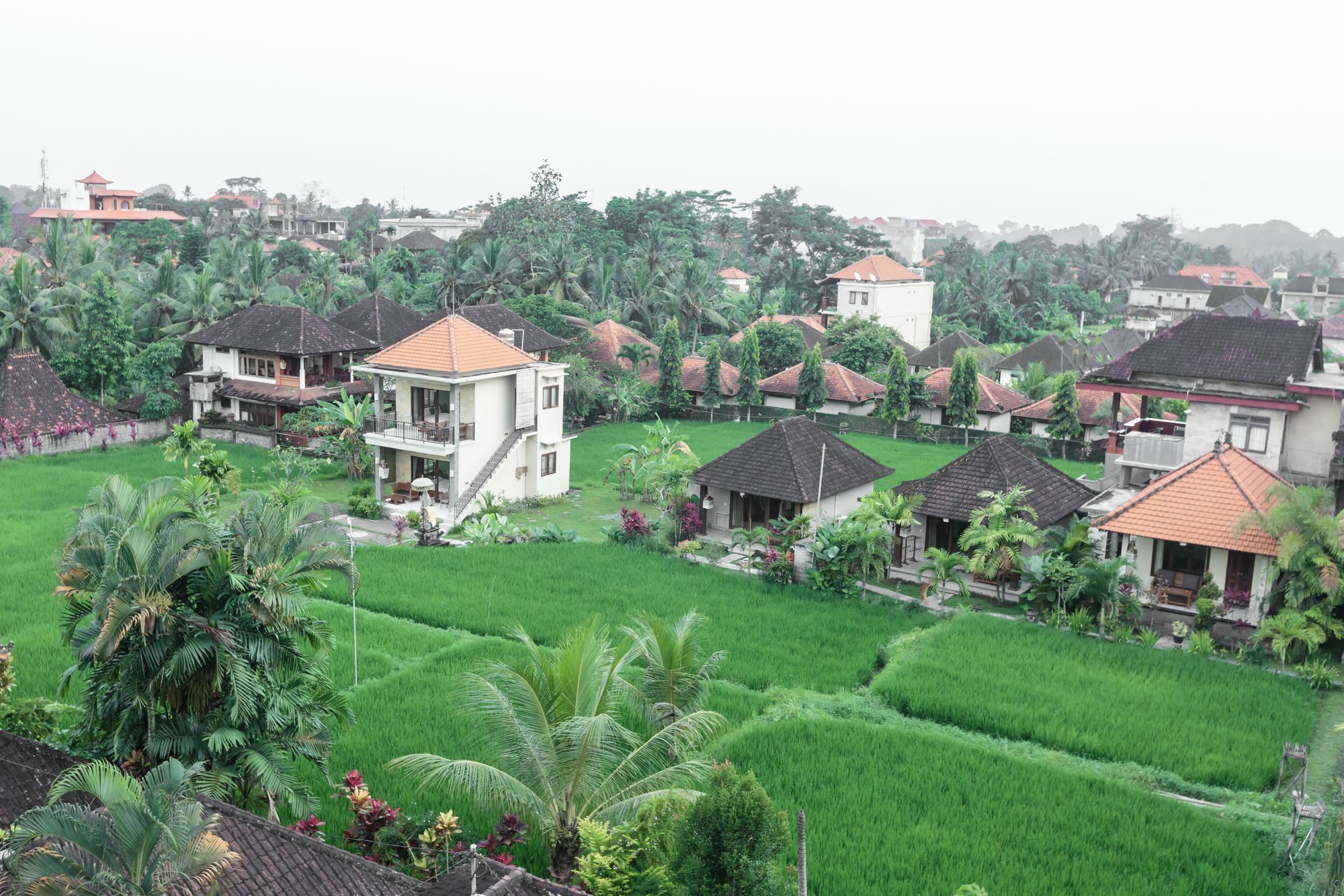Warji House 2 Bisma Hotel Ubud  Exterior photo